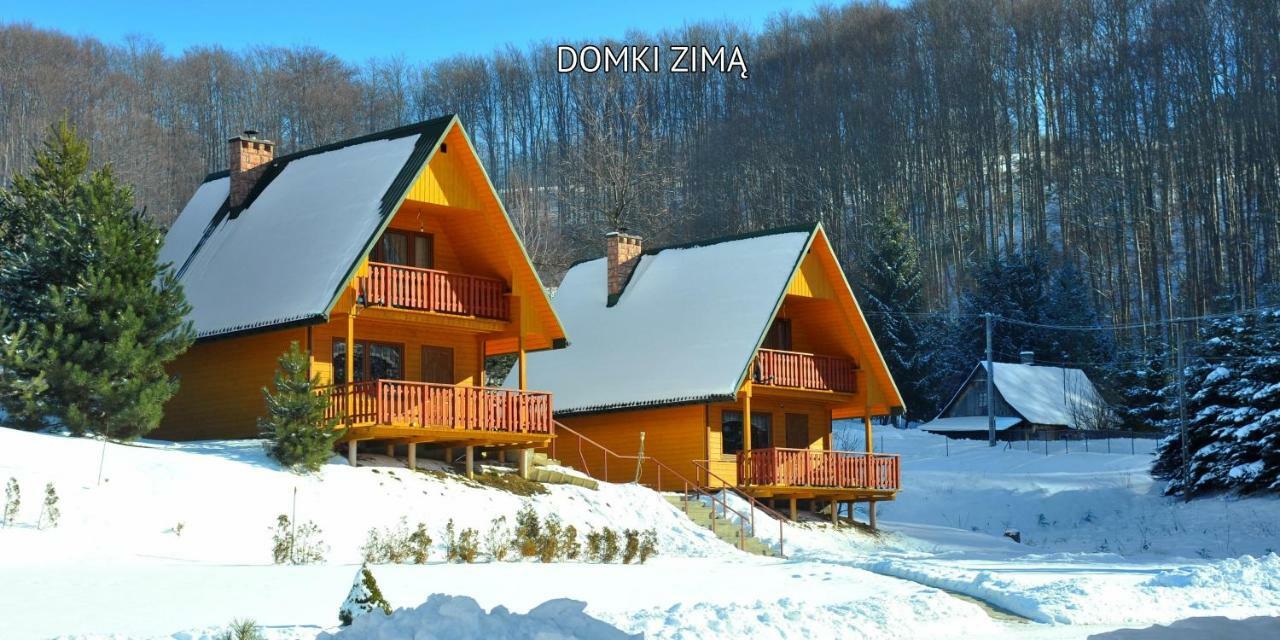 Vila Bieszczady Sosnowa Aleja Baligród Exteriér fotografie