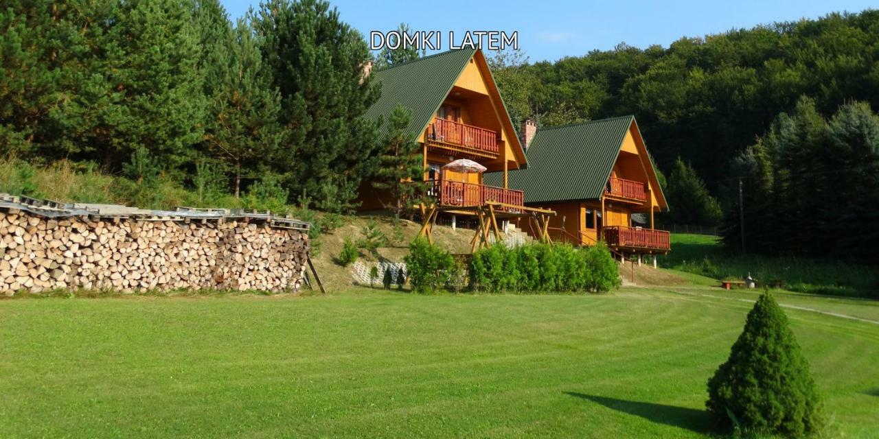 Vila Bieszczady Sosnowa Aleja Baligród Exteriér fotografie